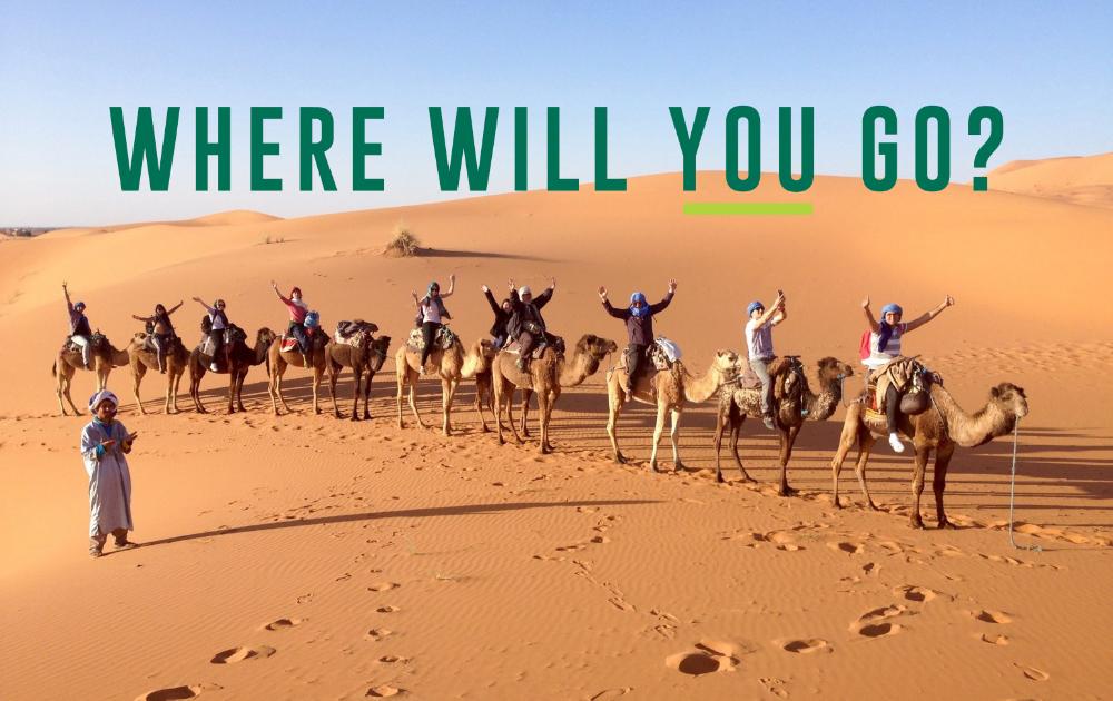 Students on camels sahara